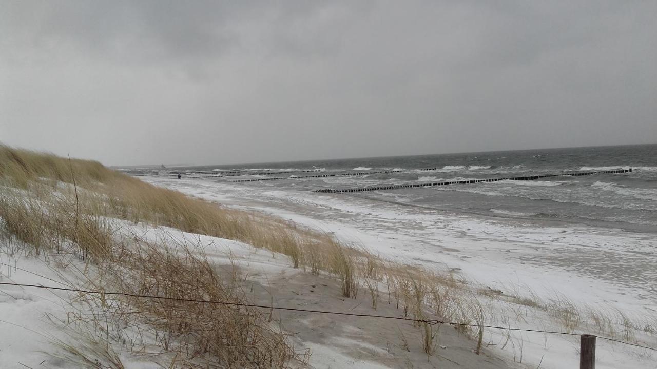 Logierhaus Friedrich We 15 - "Ostseeluft" Zingst Esterno foto